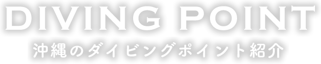 diving point沖縄のダイビングポイント紹介