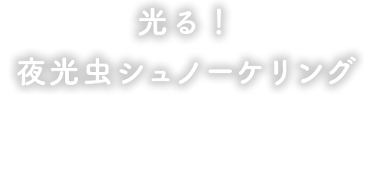 ボートで行く！青の洞窟体験ダイビング