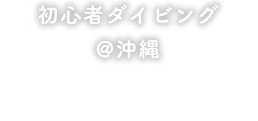 初心者ファンダイビング@沖縄青の洞窟｜恩納村