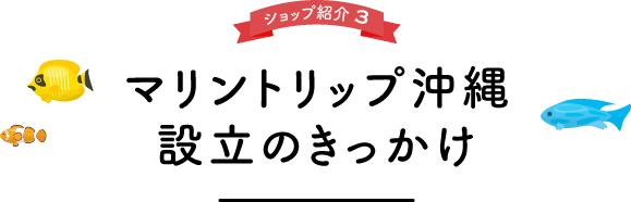 設立のきっかけ