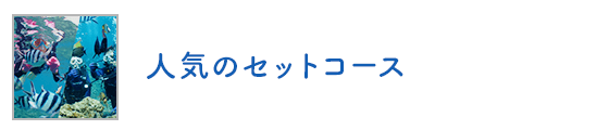 人気のセットコース