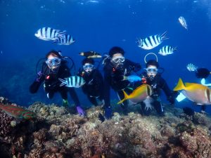 12/6 青の洞窟体験ダイビング☆