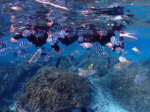 1/24 サンゴ礁シュノーケリング☆