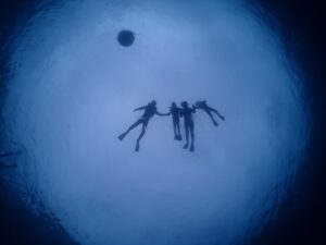 2/6　青の洞窟シュノーケリング☆